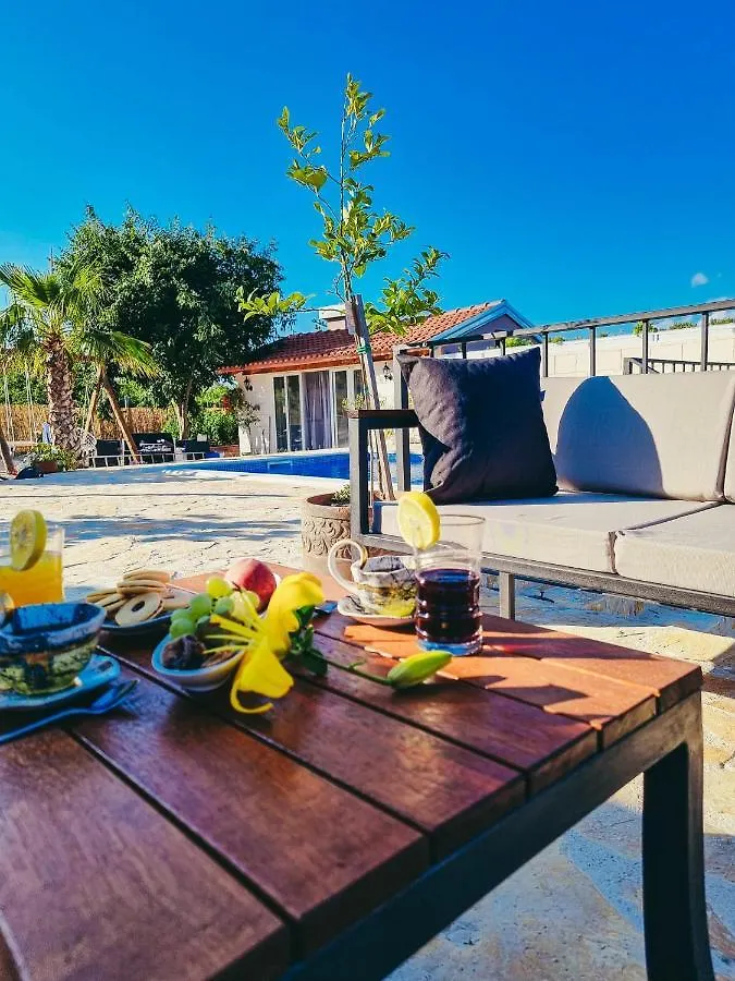 Villa Green Spirit Polaca