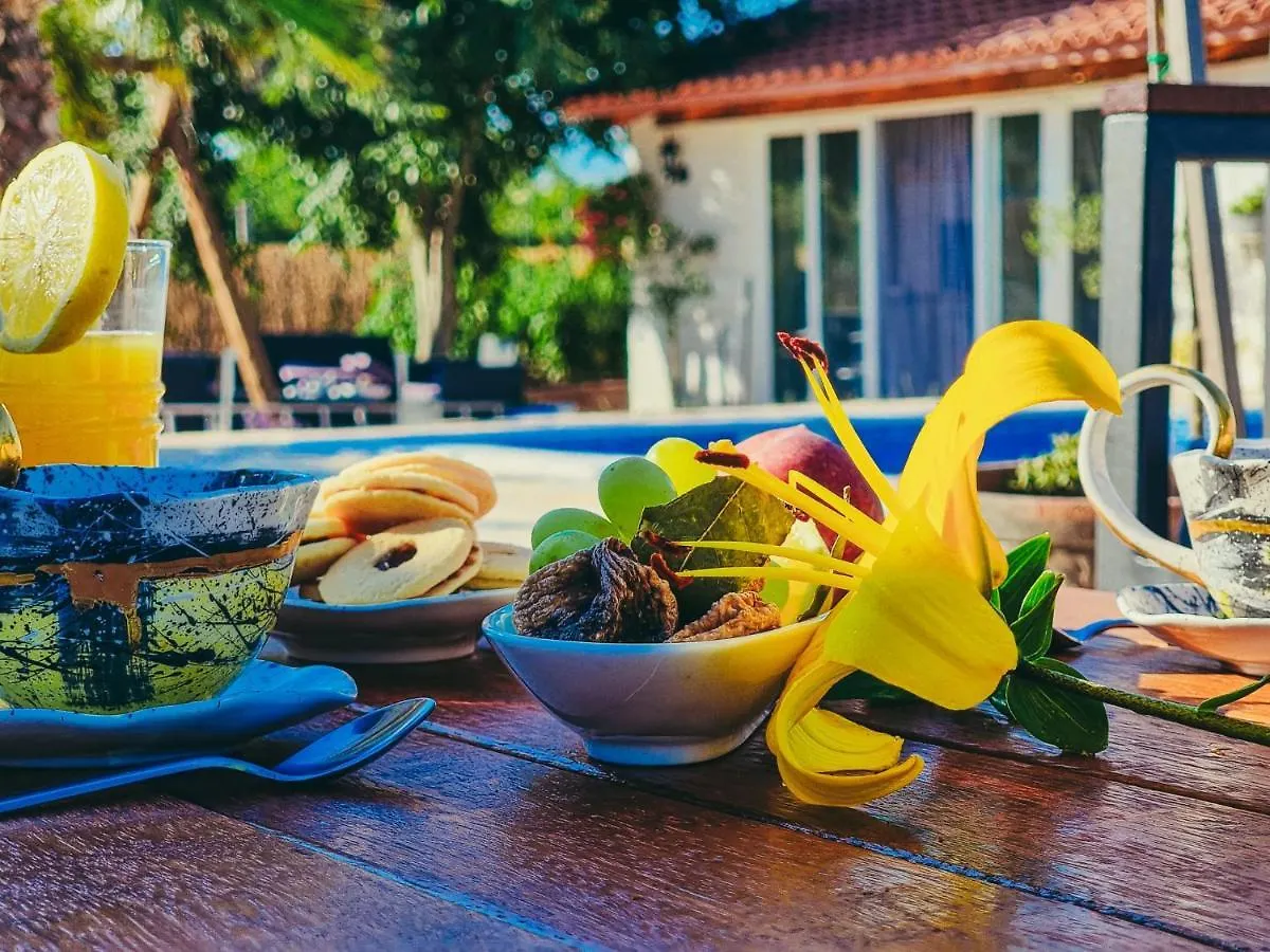 Villa Green Spirit Polaca